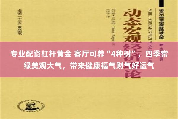 专业配资杠杆黄金 客厅可养“4种树”，四季常绿美观大气，带来健康福气财气好运气