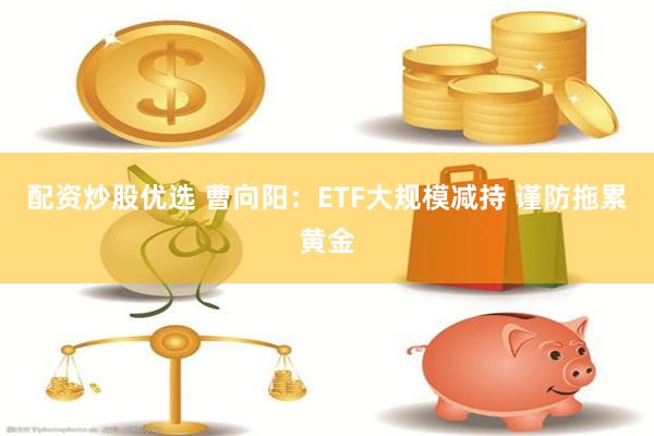 配资炒股优选 曹向阳：ETF大规模减持 谨防拖累黄金