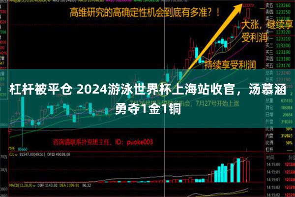 杠杆被平仓 2024游泳世界杯上海站收官，汤慕涵勇夺1金1铜