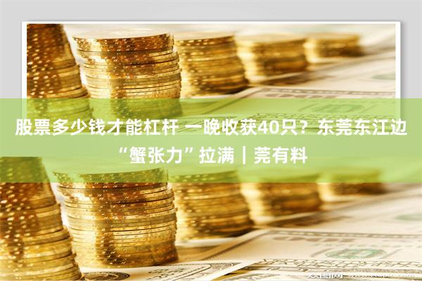 股票多少钱才能杠杆 一晚收获40只？东莞东江边“蟹张力”拉满｜莞有料