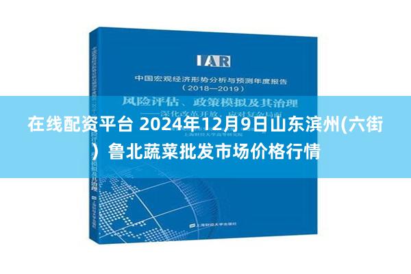 在线配资平台 2024年12月9日山东滨州(六街）鲁北蔬菜批发市场价格行情