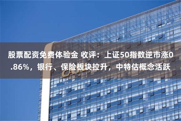 股票配资免费体验金 收评：上证50指数逆市涨0.86%，银行、保险板块拉升，中特估概念活跃