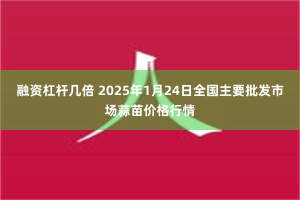 融资杠杆几倍 2025年1月24日全国主要批发市场蒜苗价格行情